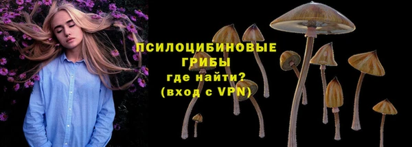 2c-b Абаза