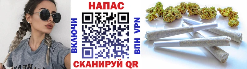 Бошки Шишки гибрид  Ужур 